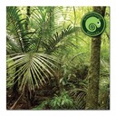 Schoolhouse Reptiles - Photo Backdrop